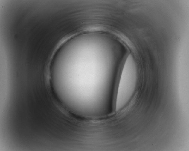 X0000099991226200805231037