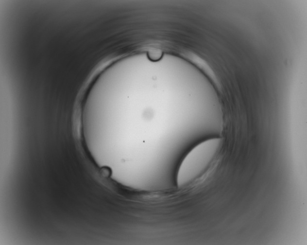 X0000099991227200805231037