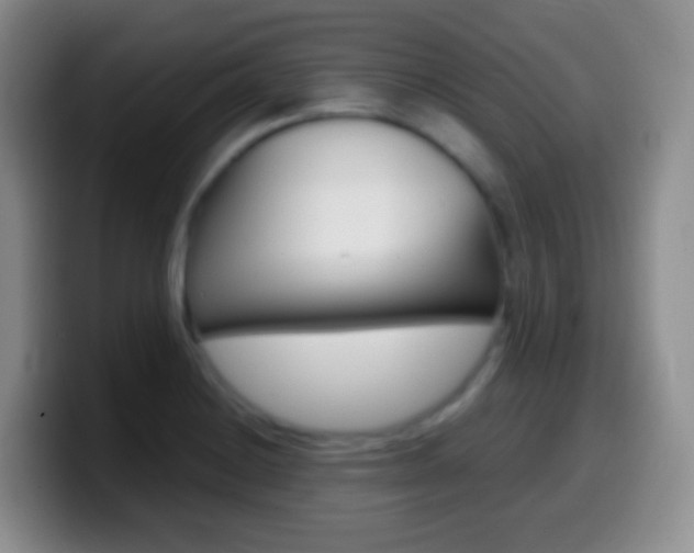 X0000099991228200805231037