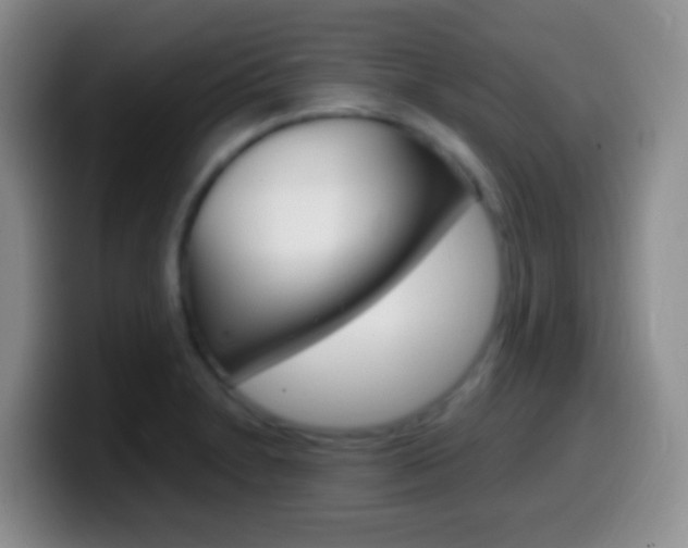 X0000099991230200805231037