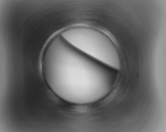 X0000099991232200805231037