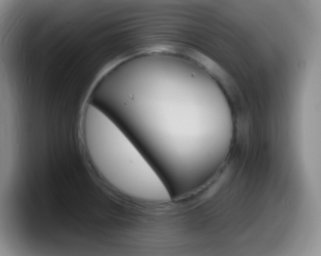 X0000099991234200805231037