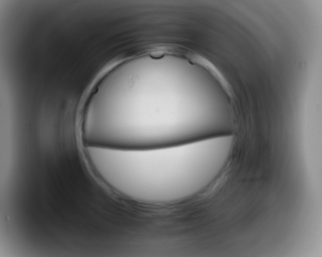 X0000099991235200805231037