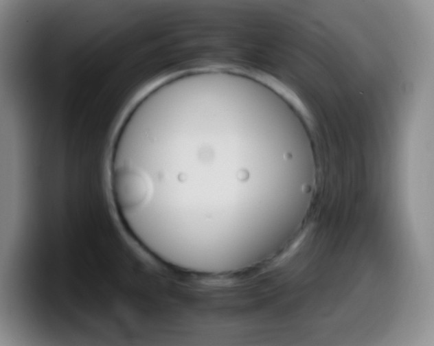 X0000099991239200805231037