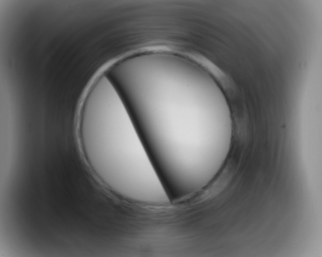 X0000099991240200805231037