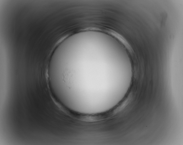 X0000099991241200805231037