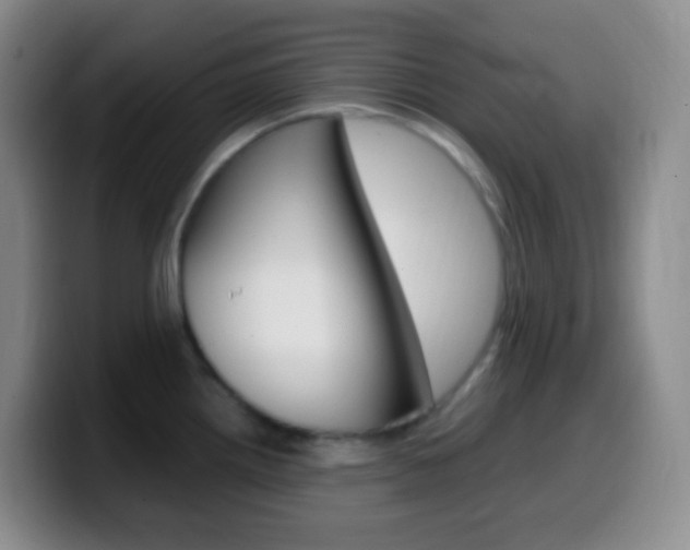 X0000099991242200805231037