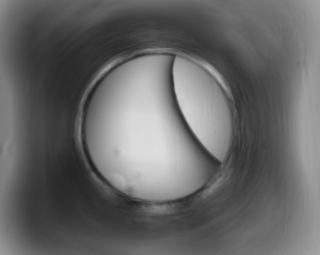 X0000099991245200805231037