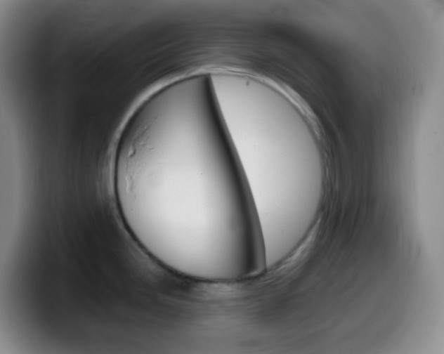 X0000099991246200805231037