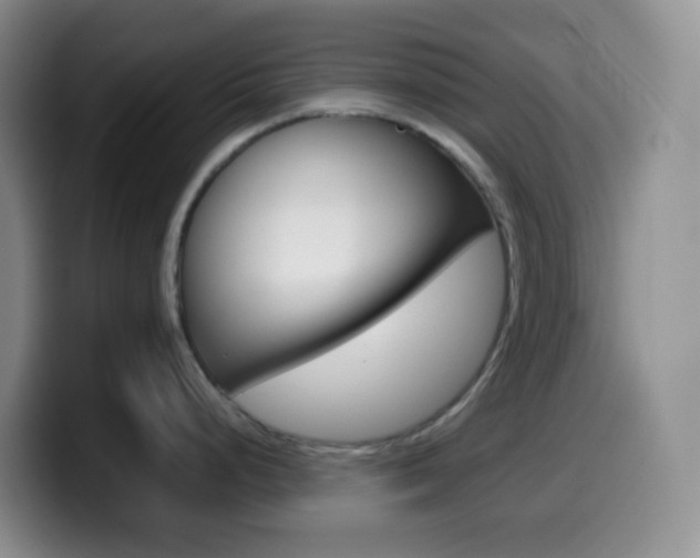 X0000099991248200805231037
