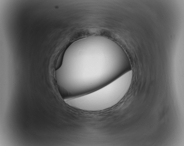 X0000099991249200805231037
