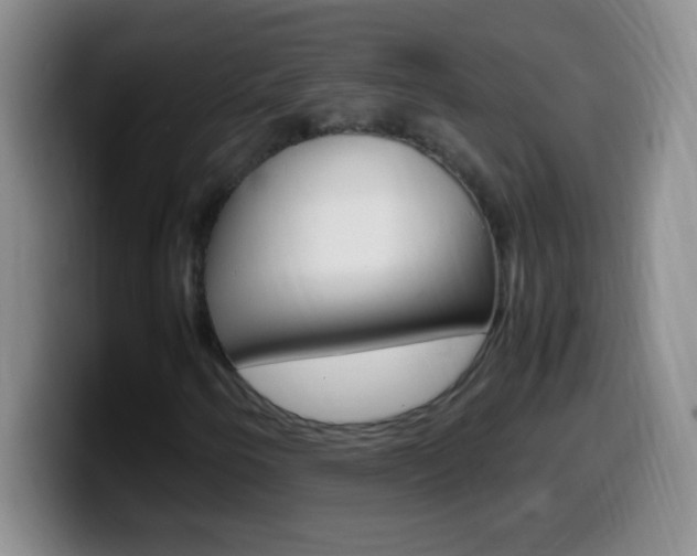 X0000099991250200805231037