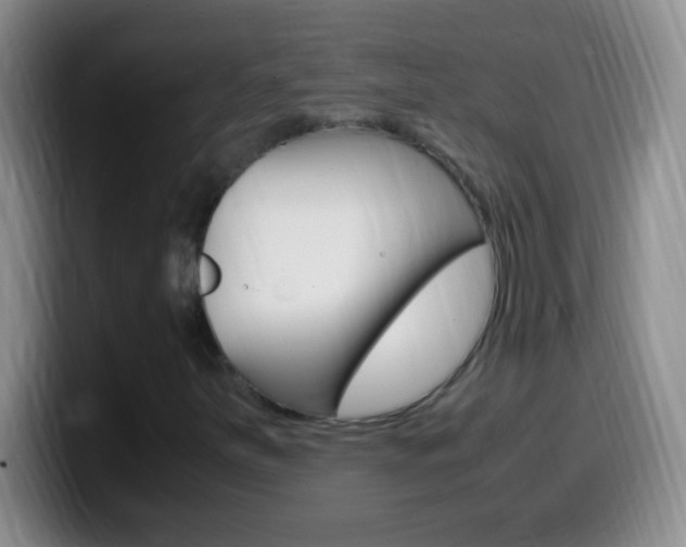 X0000099991251200805231037