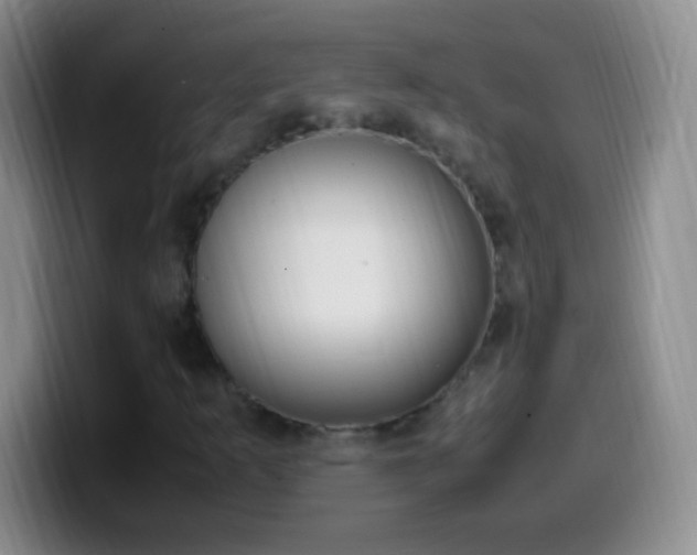 X0000099991253200805231037