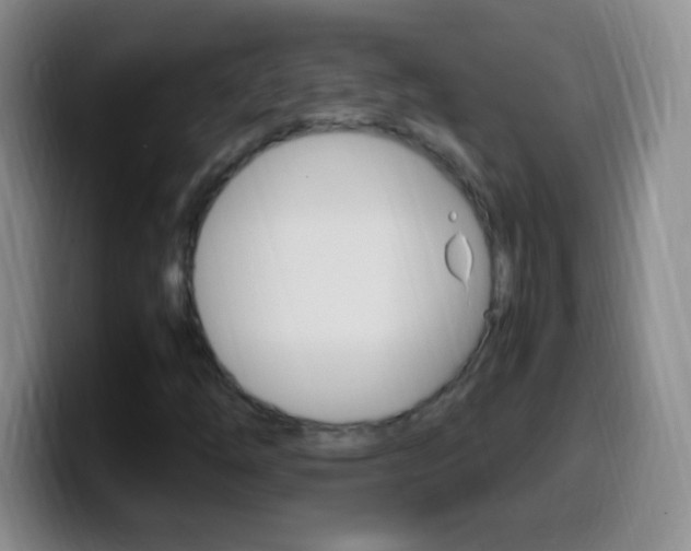 X0000099991254200805231037