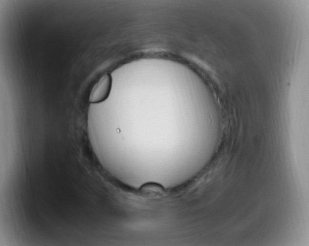X0000099991255200805231037