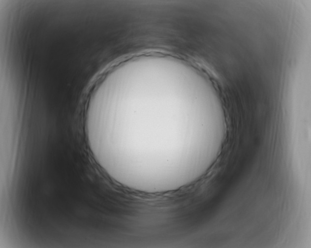 X0000099991256200805231036