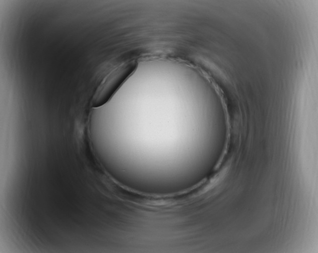 X0000099991257200805231036
