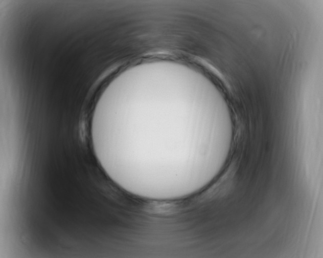 X0000099991258200805231036