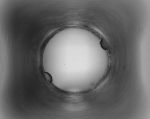 X0000099991259200805231036