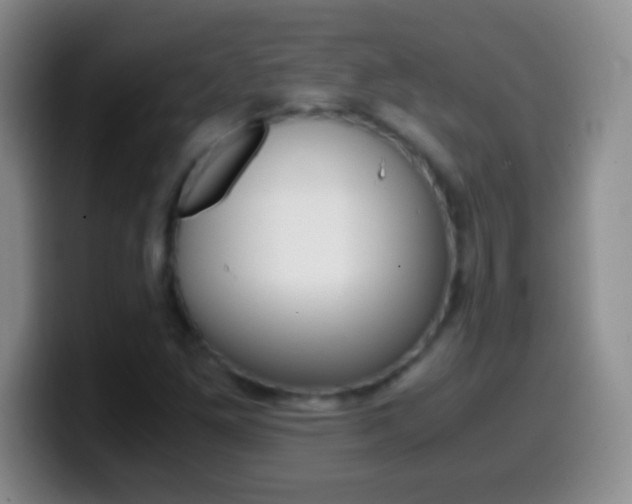 X0000099991261200805231036