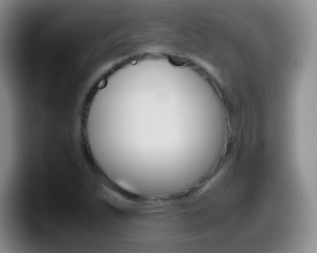X0000099991263200805231036