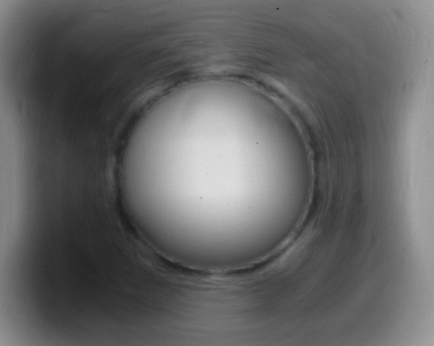 X0000099991265200805231036