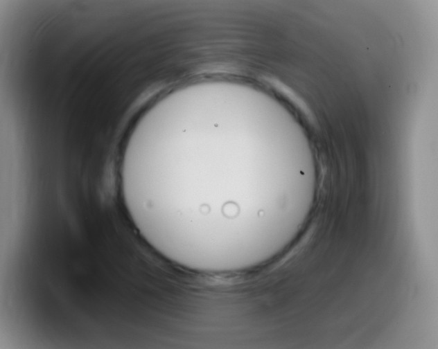 X0000099991266200805231036