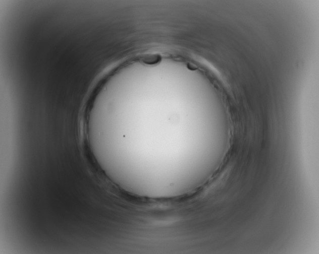 X0000099991267200805231036