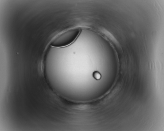 X0000099991268200805231036