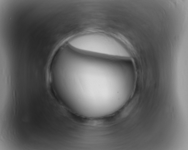 X0000099991269200805231036