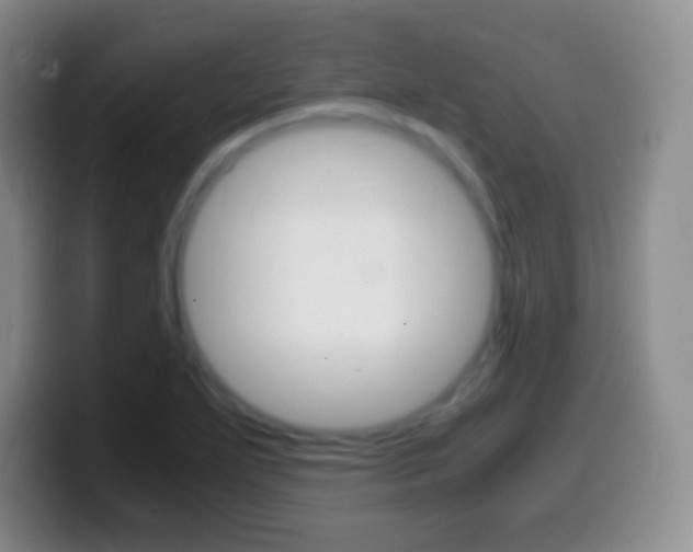 X0000099991271200805231036