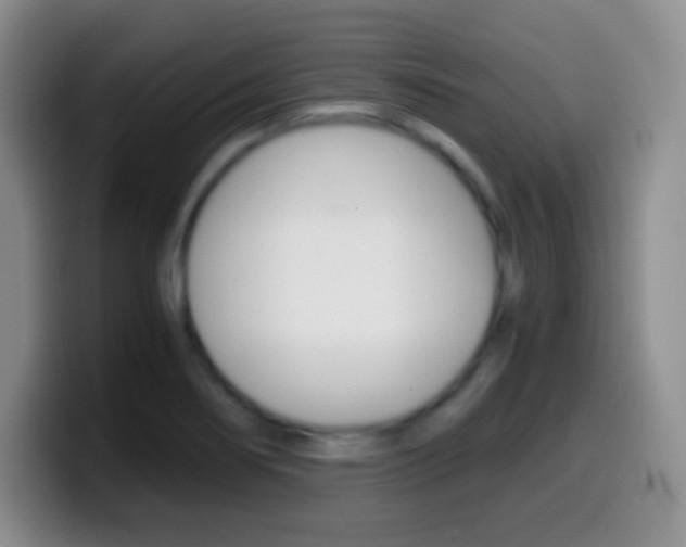 X0000099991274200805231036