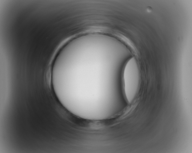 X0000099991275200805231036