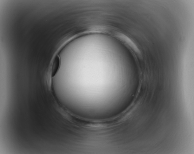 X0000099991276200805231036