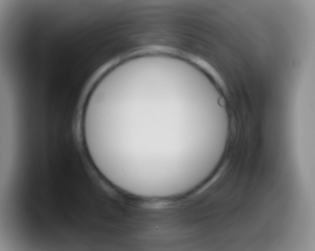 X0000099991278200805231036