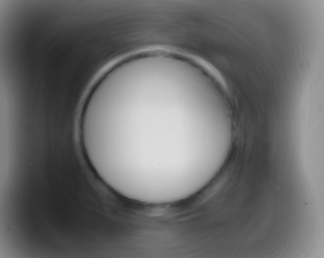 X0000099991279200805231036