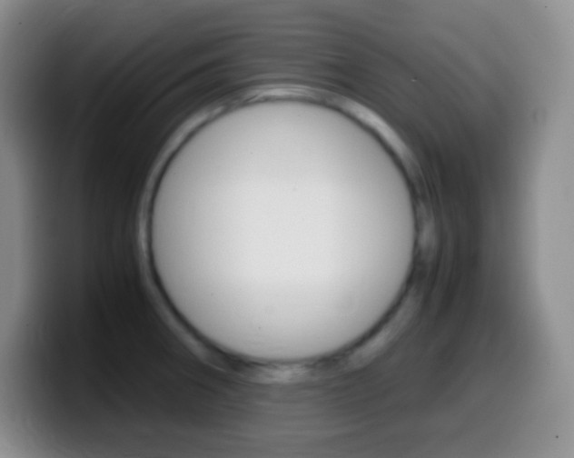 X0000099991282200805231036