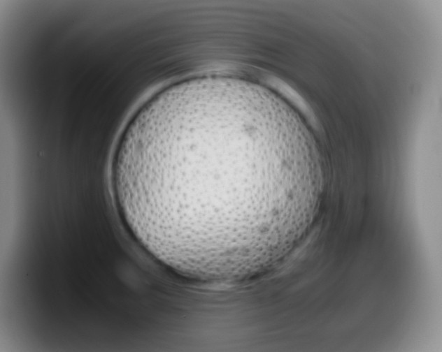 X0000099991283200805231036