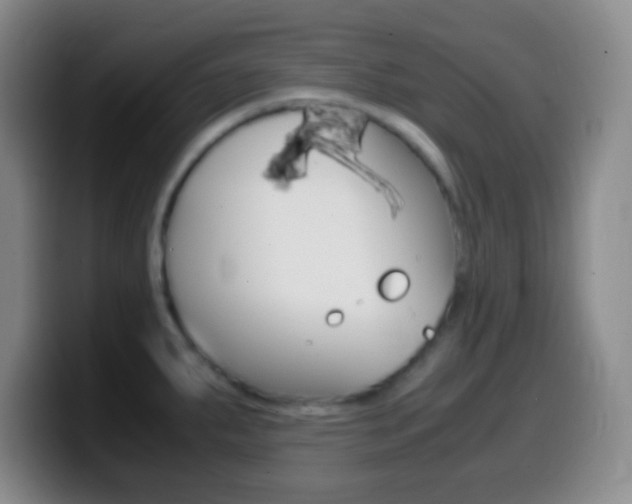 X0000099991287200805231036