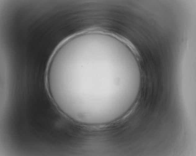 X0000099991288200805231036