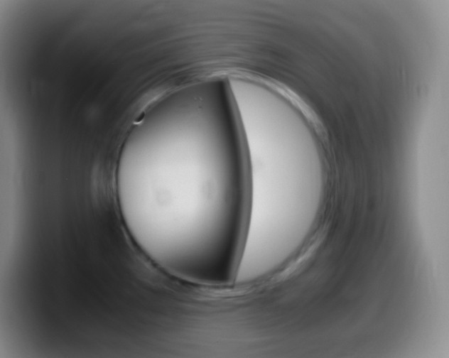 X0000099991289200805231036