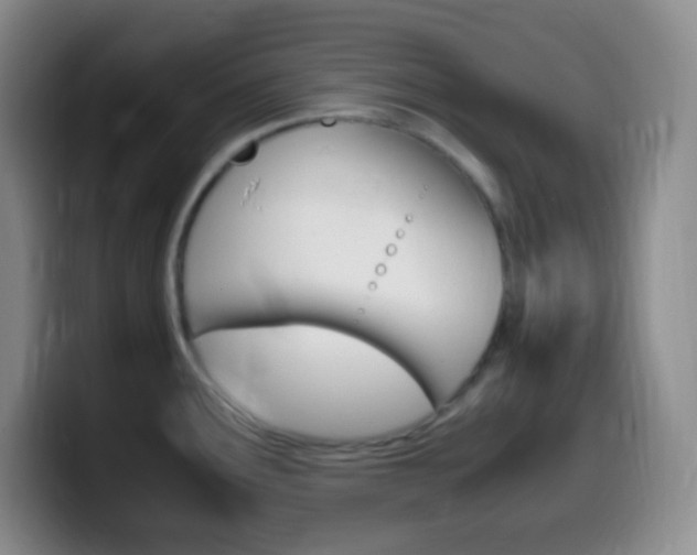 X0000099991291200805231036