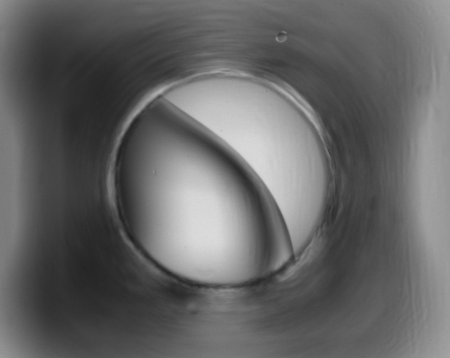 X0000099991293200805231036