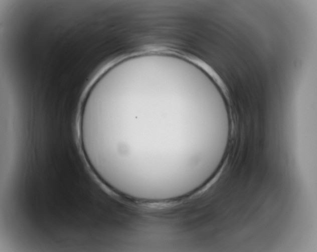 X0000099991294200805231036