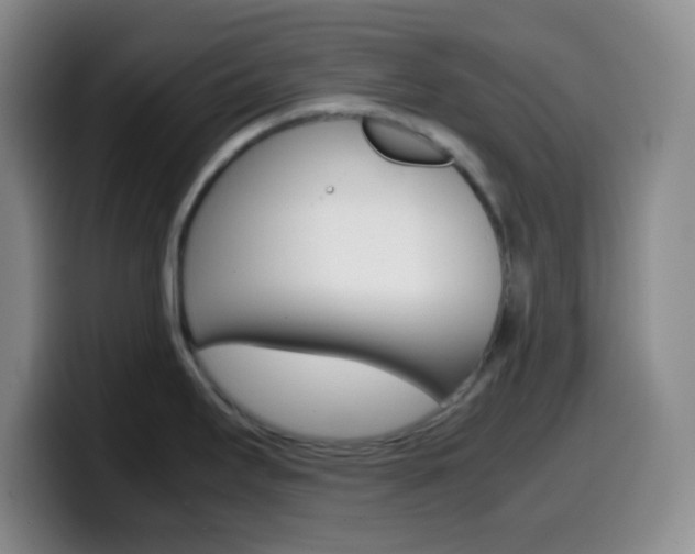 X0000099991295200805231036