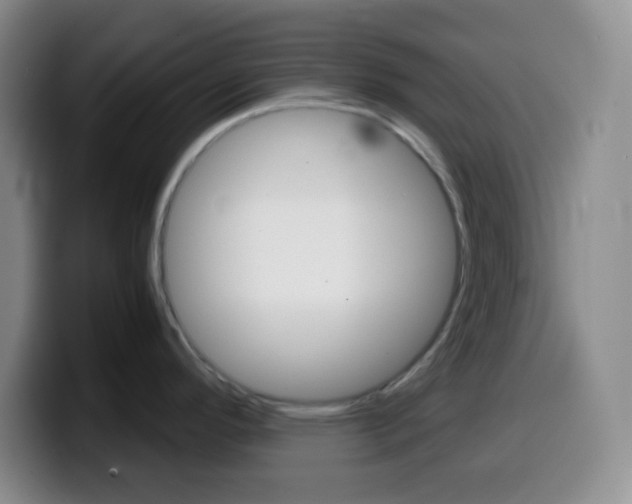 X0000099991296200805231036