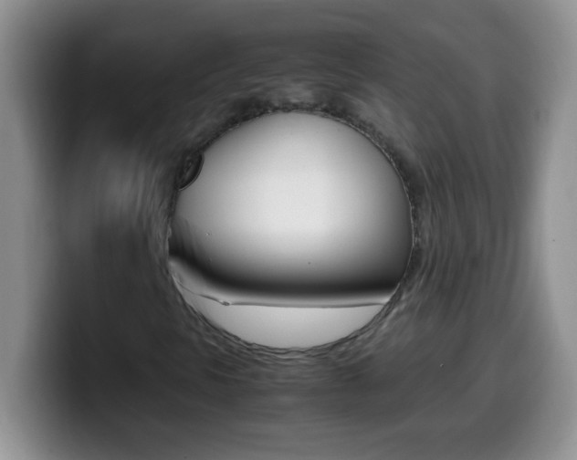 X0000099991297200805231035