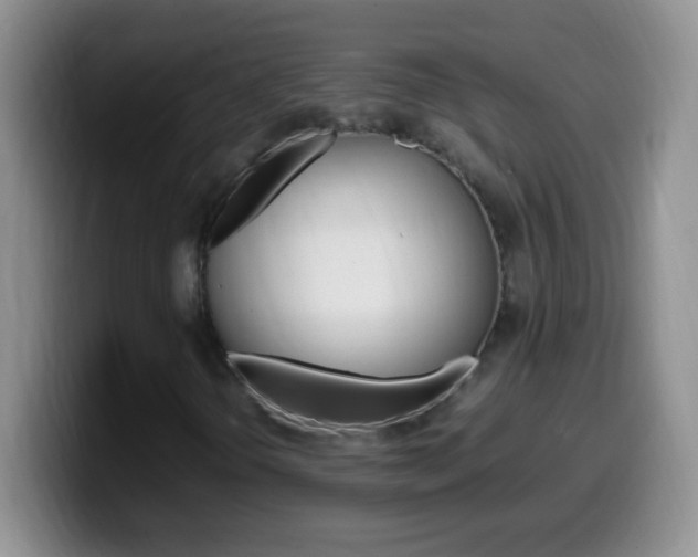 X0000099991298200805231035
