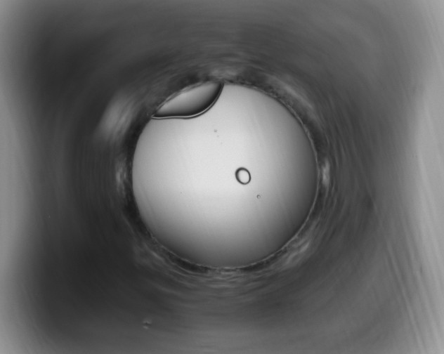 X0000099991299200805231035